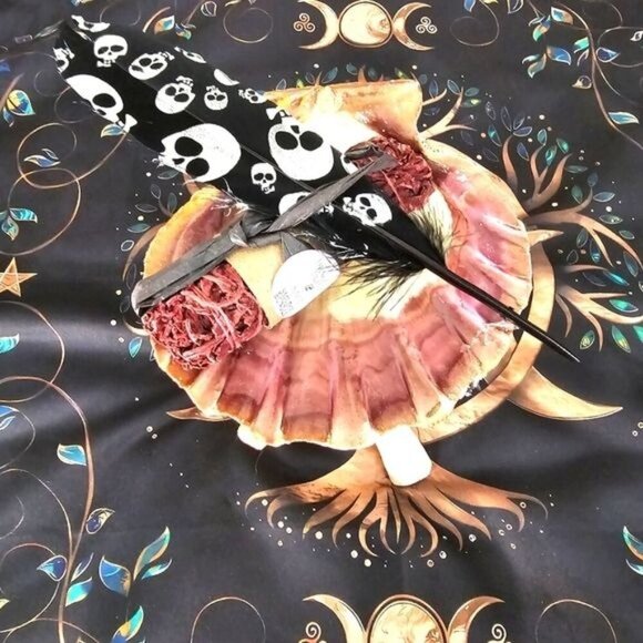 Dragon’s Blood Sage ✦ Tiger Shell ✦ Skull Feather ✦ Cleansing Smudge Set NWT - Picture 2 of 7